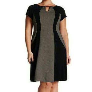 Sandra Darren Short Sleeve A-Line Knit Dress, NWT